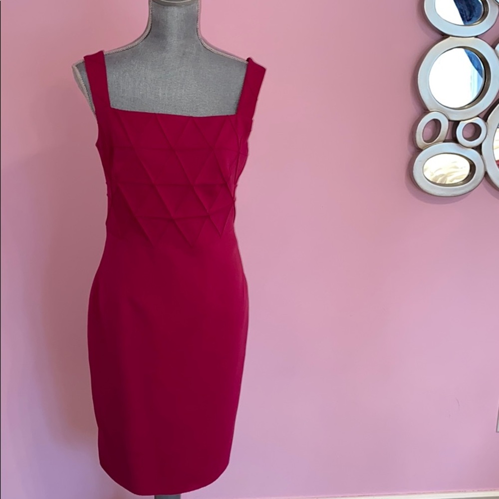 NWOT PH5 pink classic cut dress